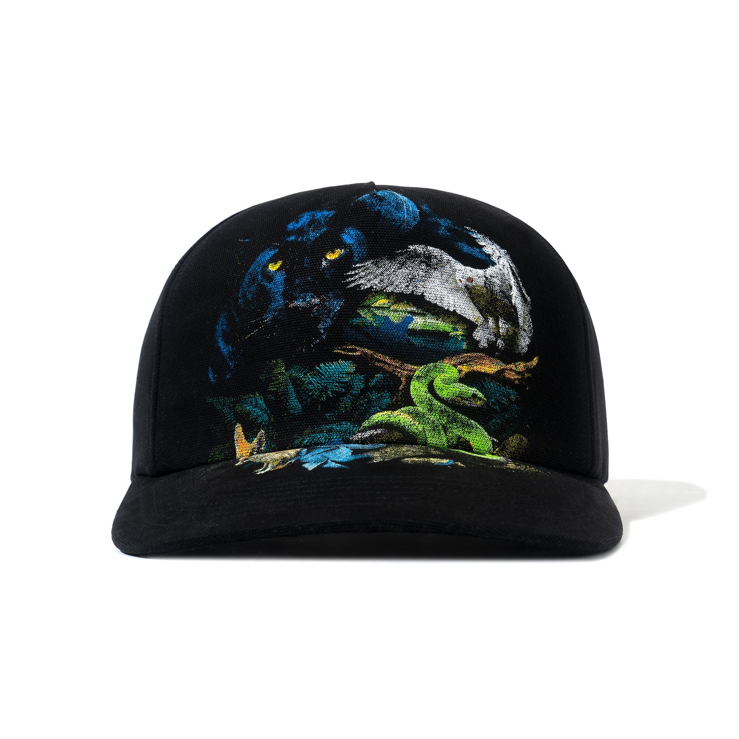 Nocturnal Kingdom Snapback